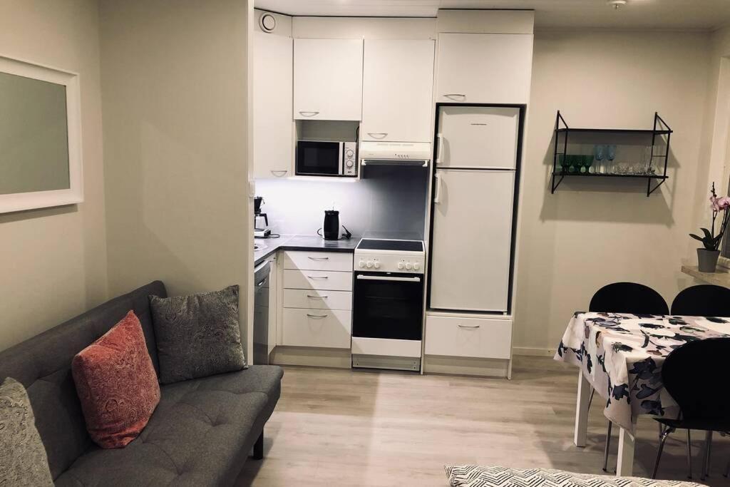 Studio Vescu Lahti Buitenkant foto